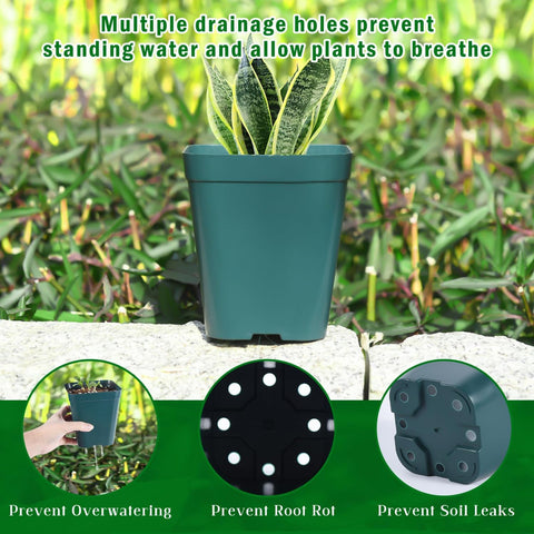 June Fox 4-inch green seedling pots include labels for easy variety tracking.