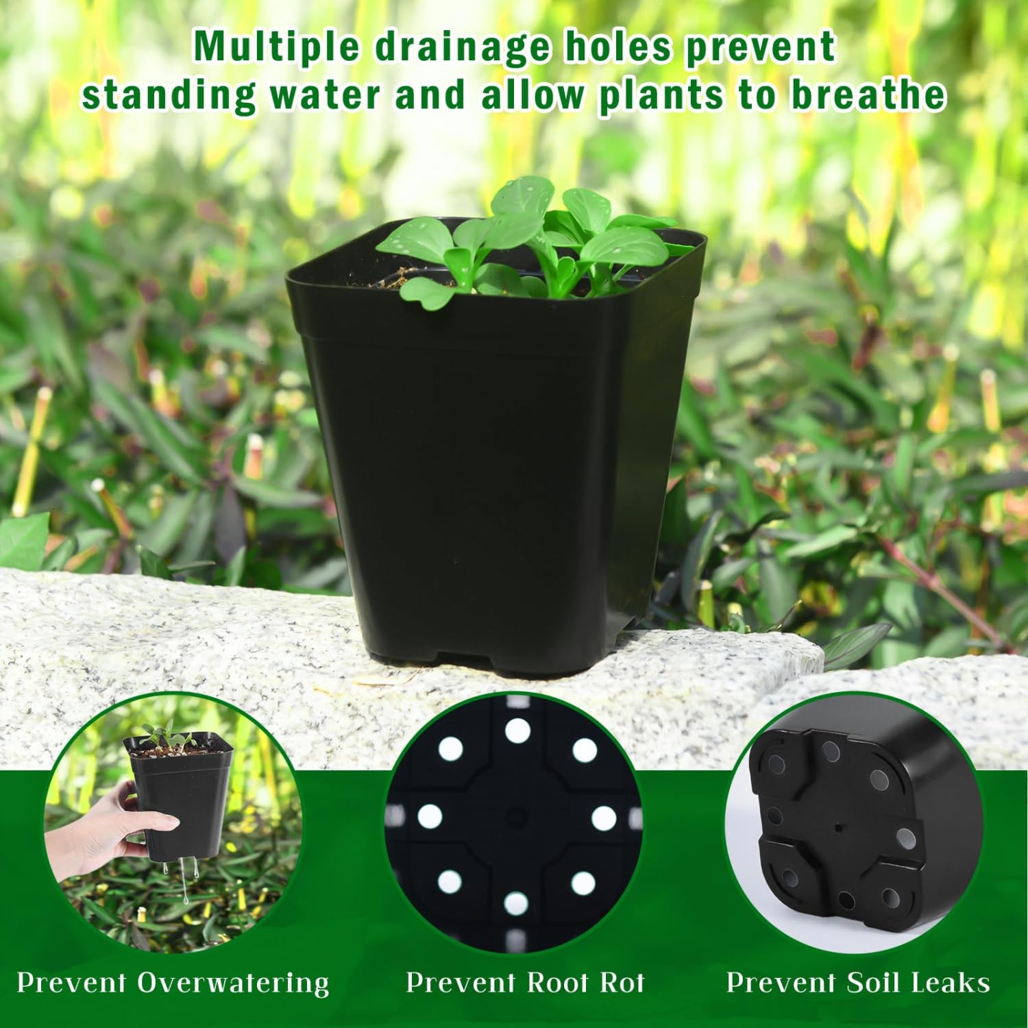 June Fox pots with multiple drainage holes promote aeration and prevent overwatering.