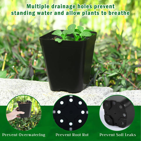 June Fox pots with multiple drainage holes promote aeration and prevent overwatering.