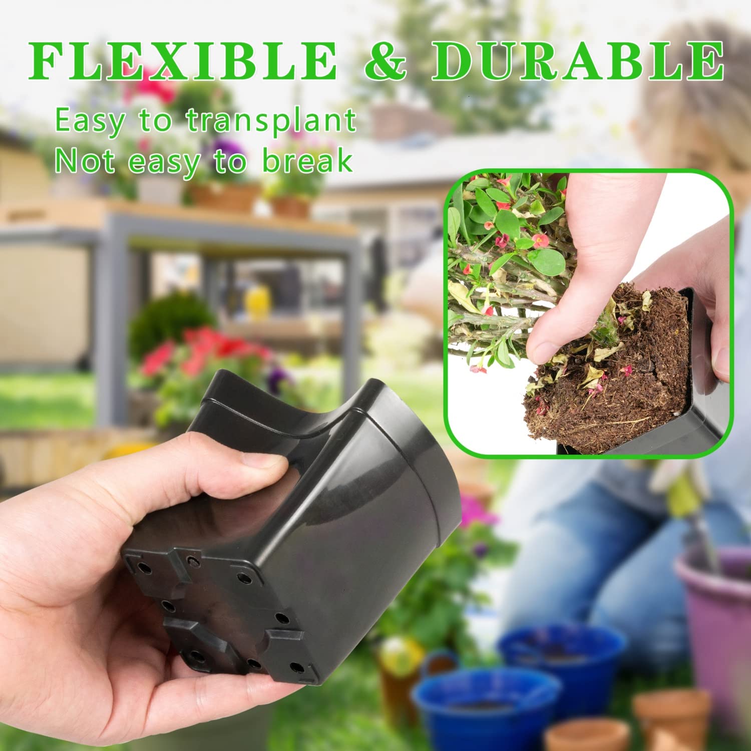 June Fox seedling pots with eight drainage holes promote better root airflow.