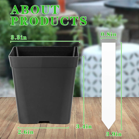 June Fox square nursery pot top view shows compact design for efficient seed starting.