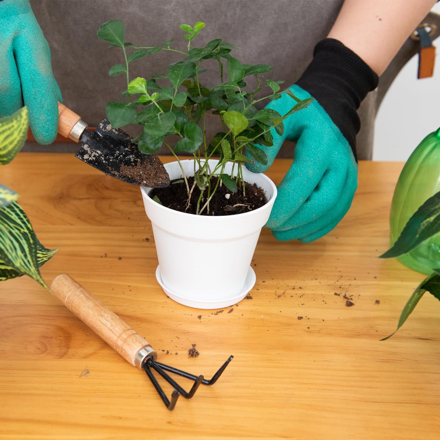 June Fox durable plastic pot for indoor and outdoor plant displays