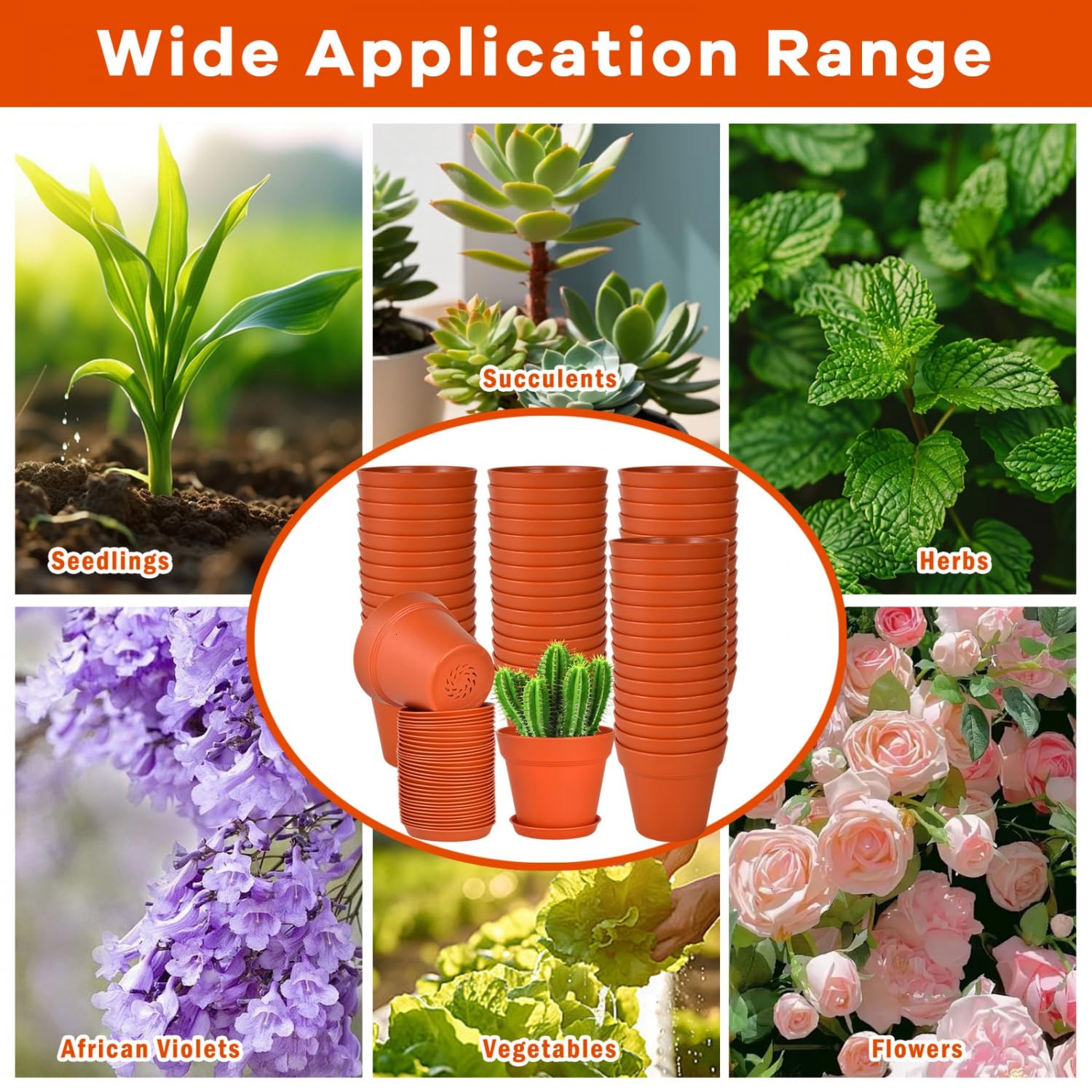 June Fox pots ideal for succulents, violets, herbs, and small flowers