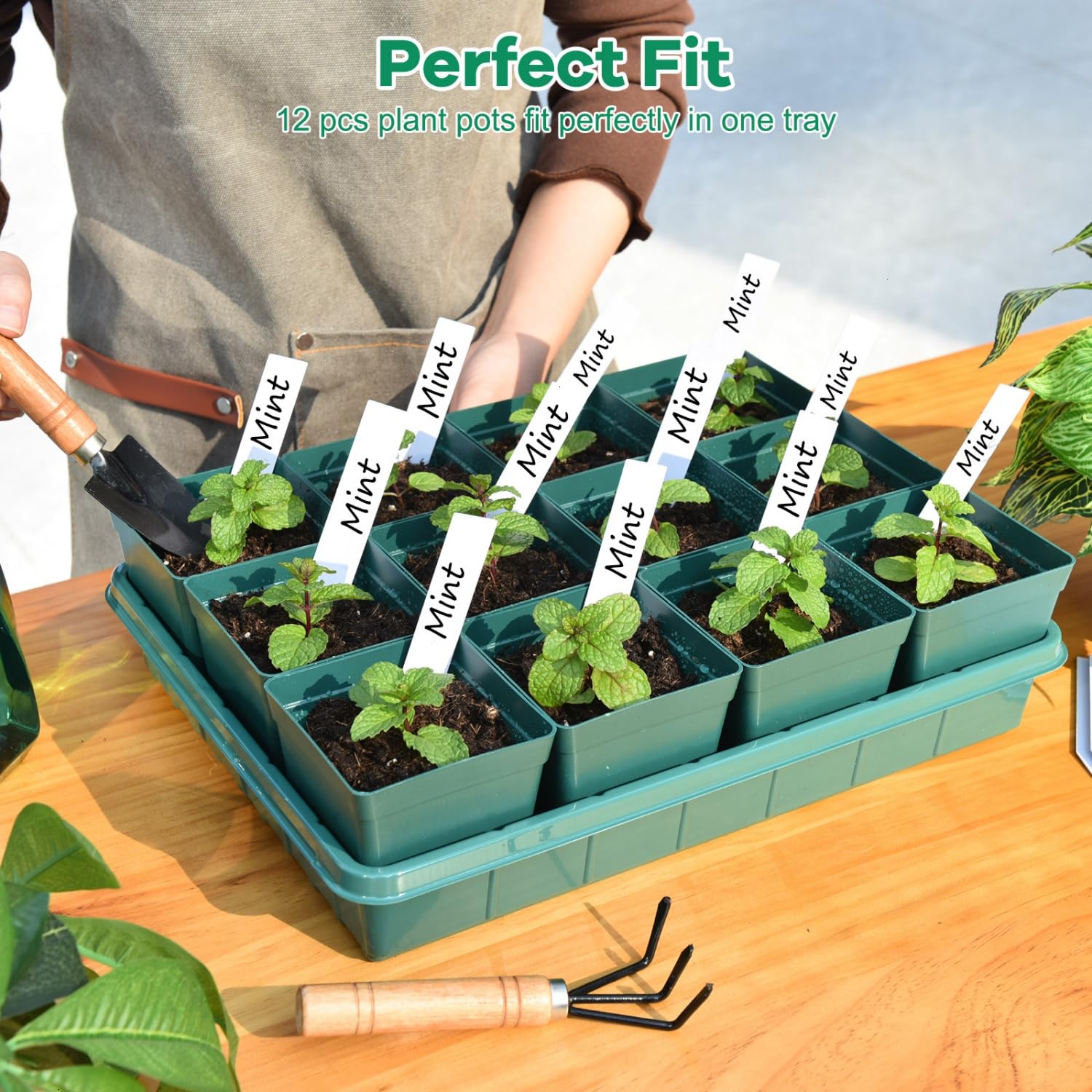 June Fox 3.3-inch seedling pots close-up showing sturdy plastic and drainage holes