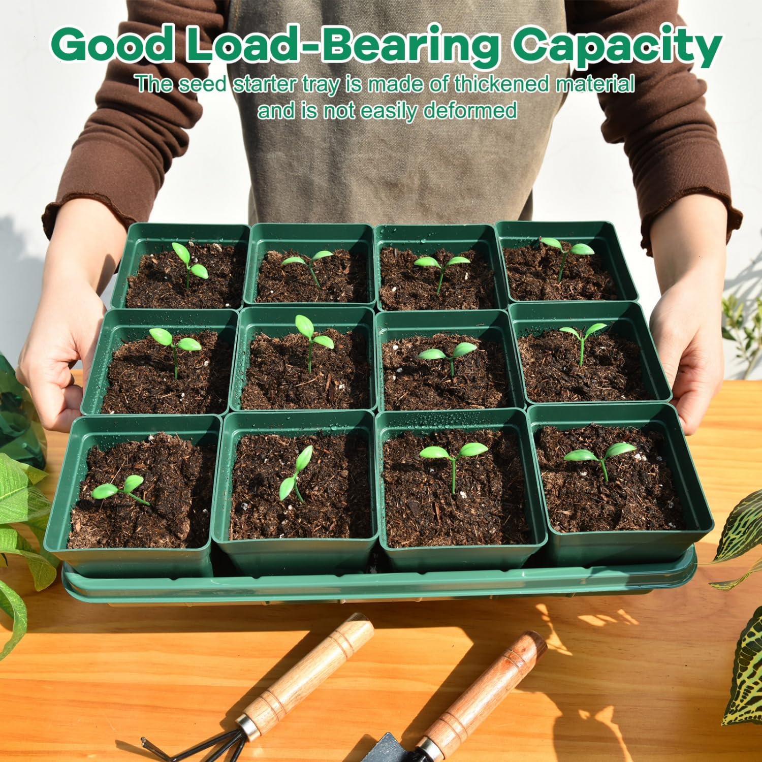 June Fox durable seedling pots resist deformation for long-lasting reuse