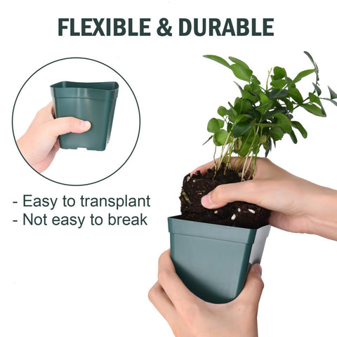 June Fox flexible plastic nursery pot, easy removal of seedlings.