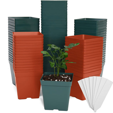 June Fox square nursery pot front view, 3.3-inch opening, ideal for seedlings.