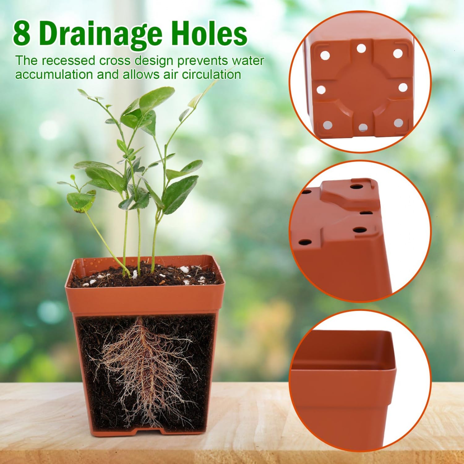 June Fox plant labels 10x2 cm waterproof for clear seedling tagging.