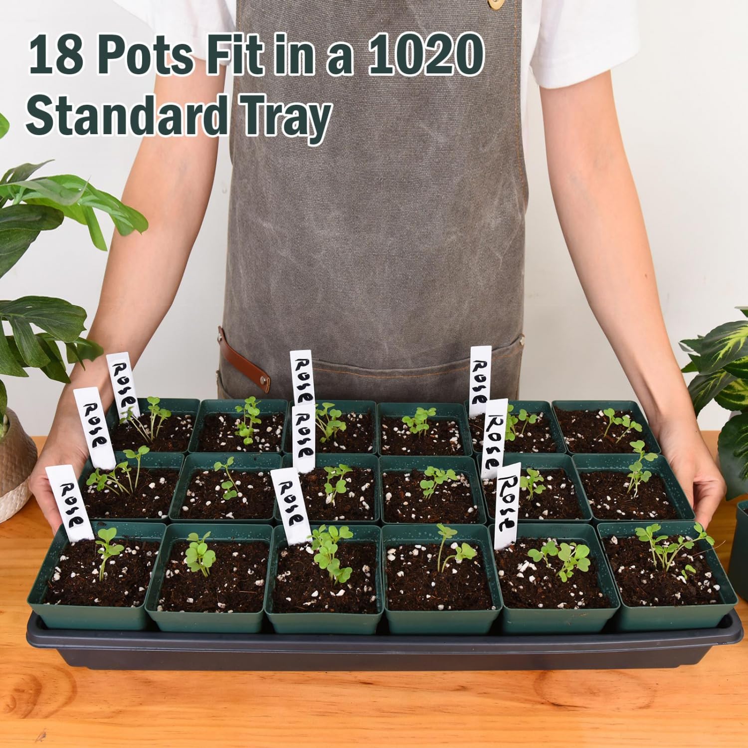 June Fox reusable nursery pots, durable for multiple seasons and easy cleaning.