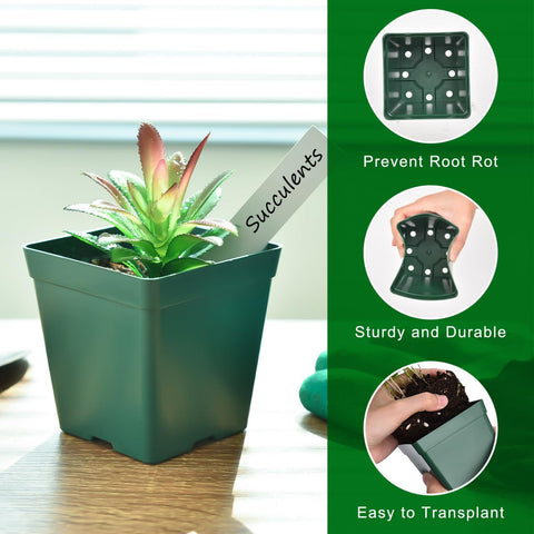 June Fox seed starter tray channel design promotes root ventilation and healthy growth
