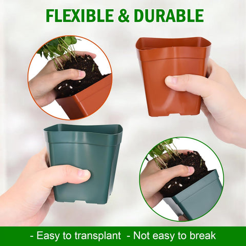 June Fox pot with eight drainage holes to promote root airflow.