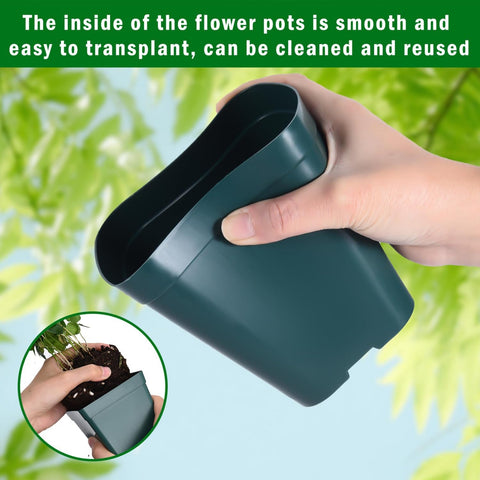 June Fox 4-inch green pots ideal for succulents and herbs.