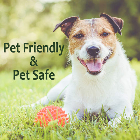 Just For Pets Weed Killer Spray applying along garden edge for weed control