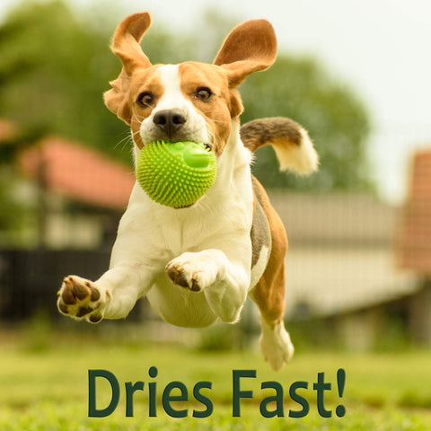 Just For Pets Weed Killer Spray outdoor beds show fast weed elimination in garden beds.