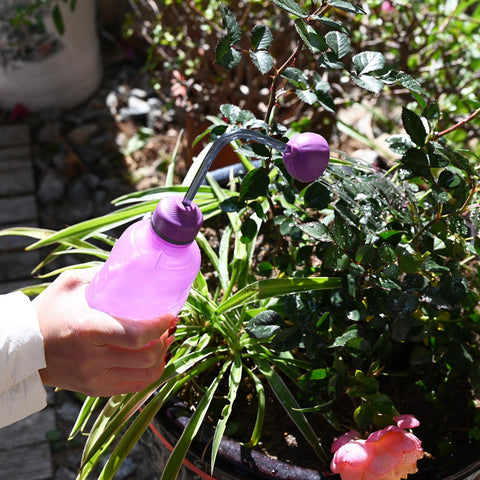 JUSUFU indoor-plants purple watering can for efficient houseplant care.