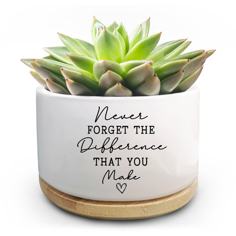 Jutasty Coworker succulent pot adds desk decor and a thoughtful farewell message.