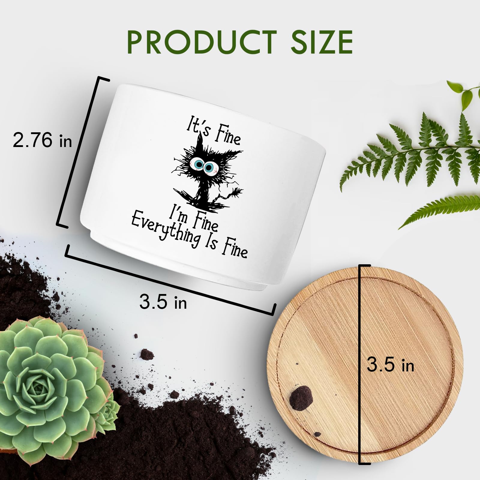 Jutasty succulent pot featuring central drainage hole