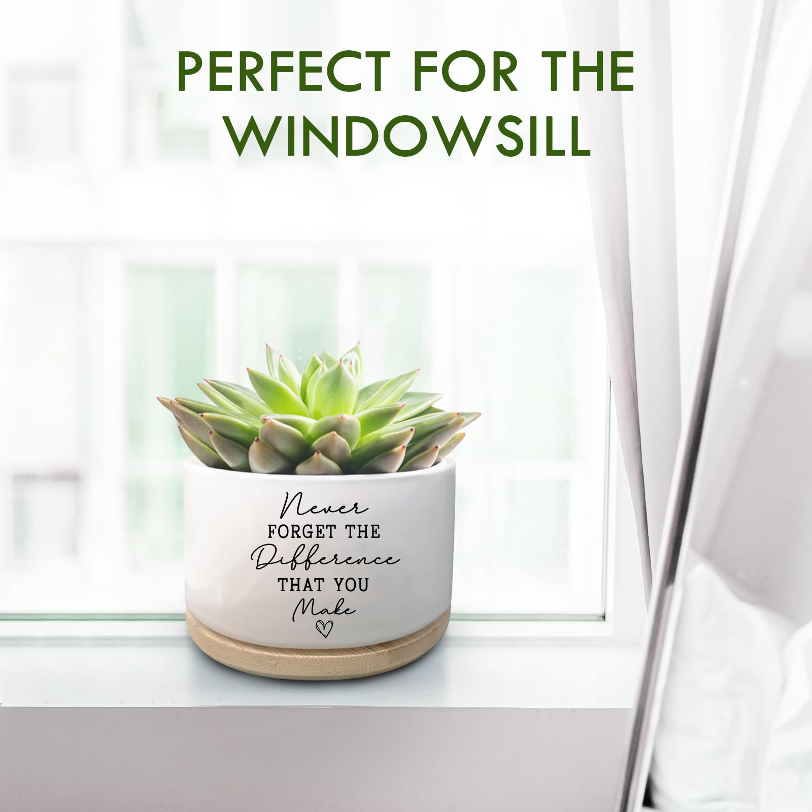 Jutasty funny quote planter for succulents adds humor and office charm.