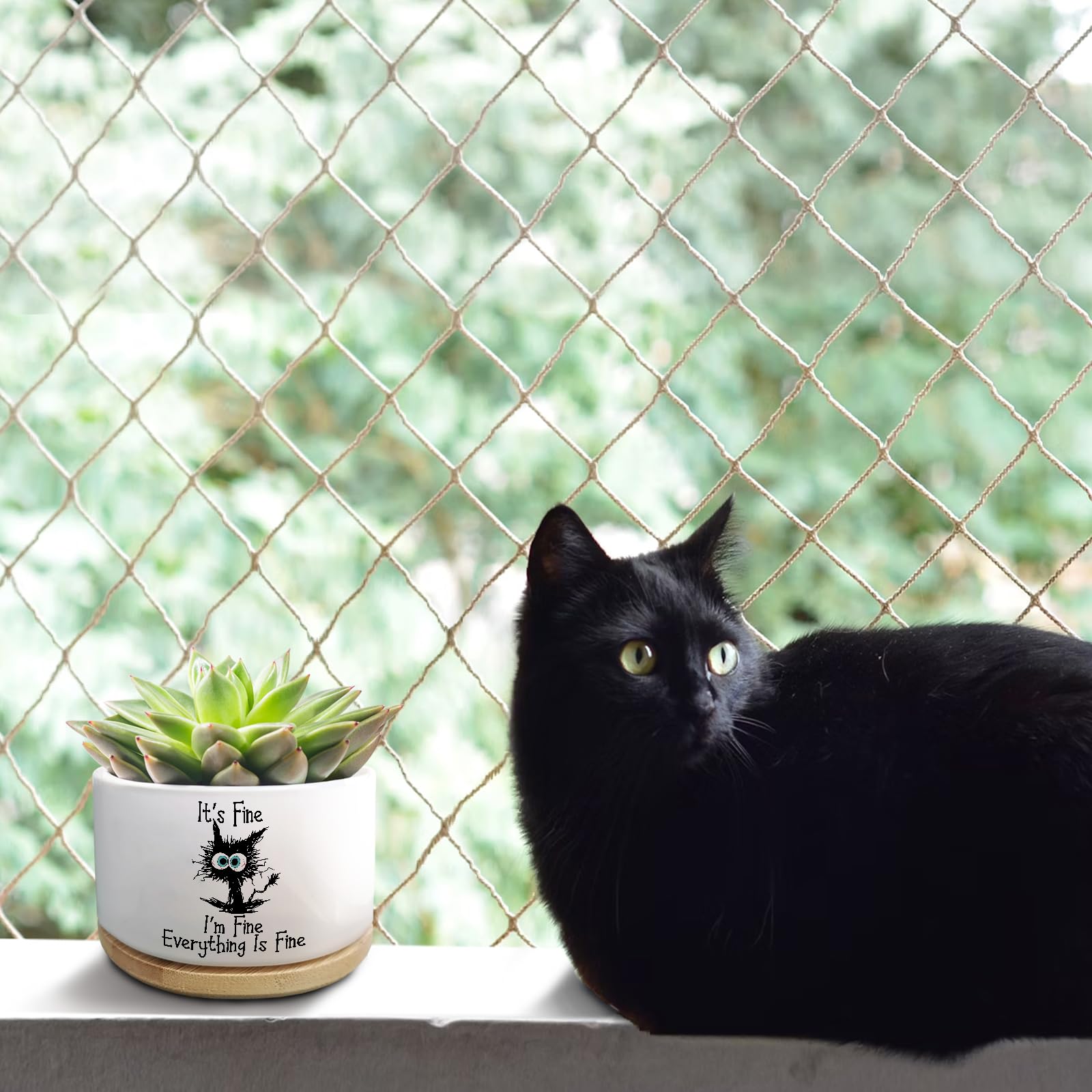 Jutasty cat lover gift planter for home or office