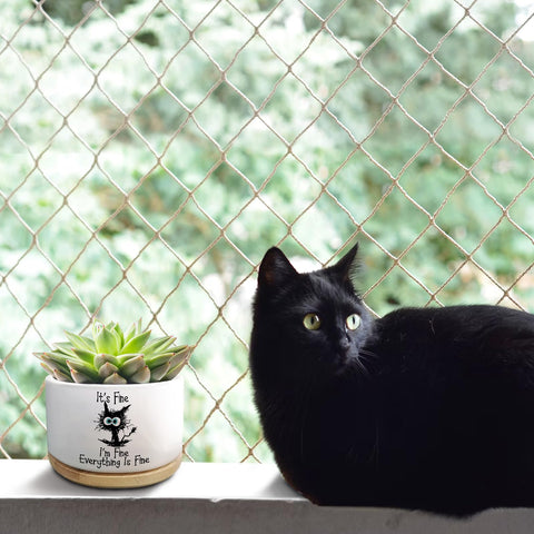 Jutasty cat lover gift planter for home or office