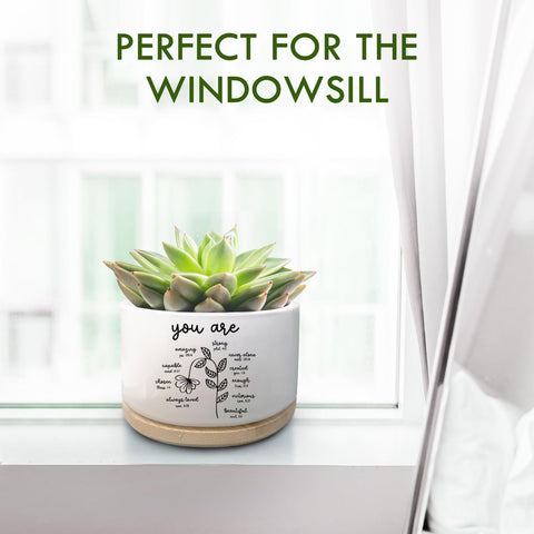 Jutasty inspirational-quote pot for daily motivation.