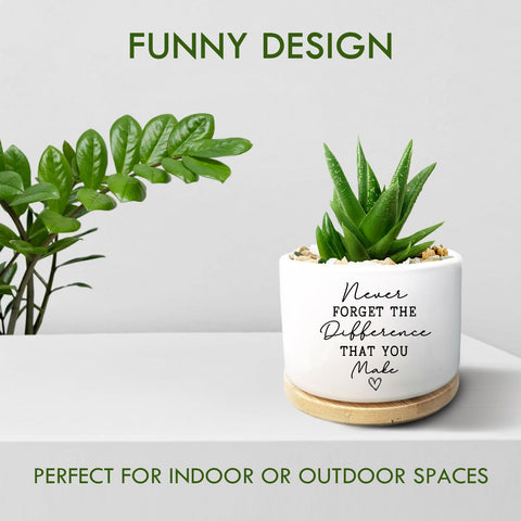 Jutasty farewell planter complements any plant setup and office decor.