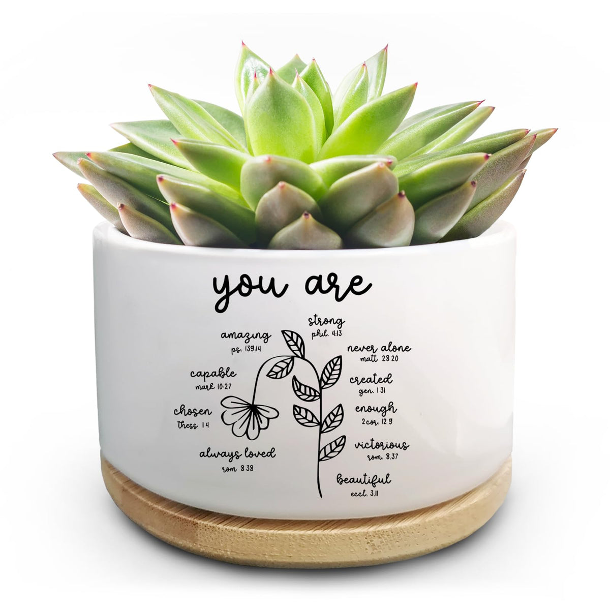 Jutasty succulent pot in white ceramic, ideal for desks.