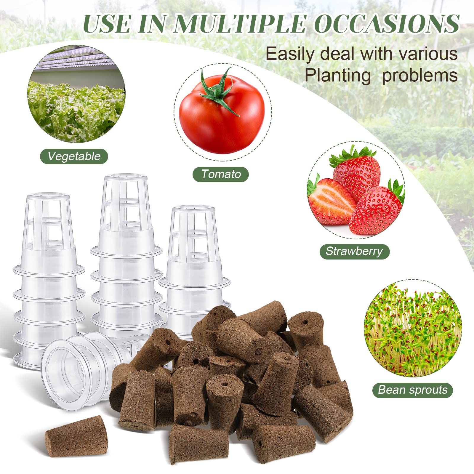 Jutom kit in action with seeds and labels on a windowsill