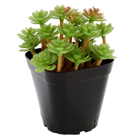 Juvale bulk square planter stackable set keeps gardening supplies organized.