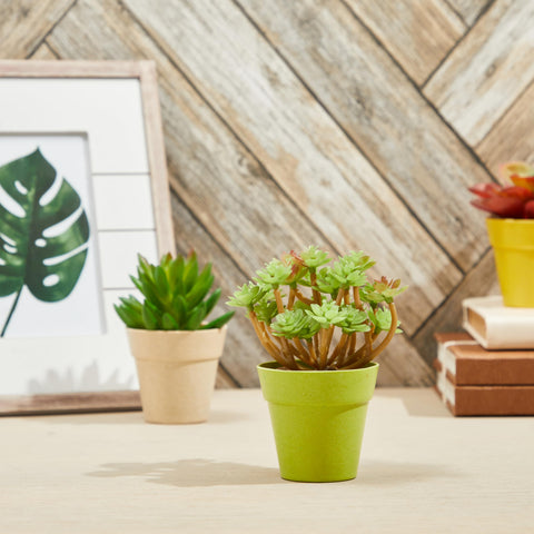 Juvale indoor-outdoor pots with drainage for versatile use