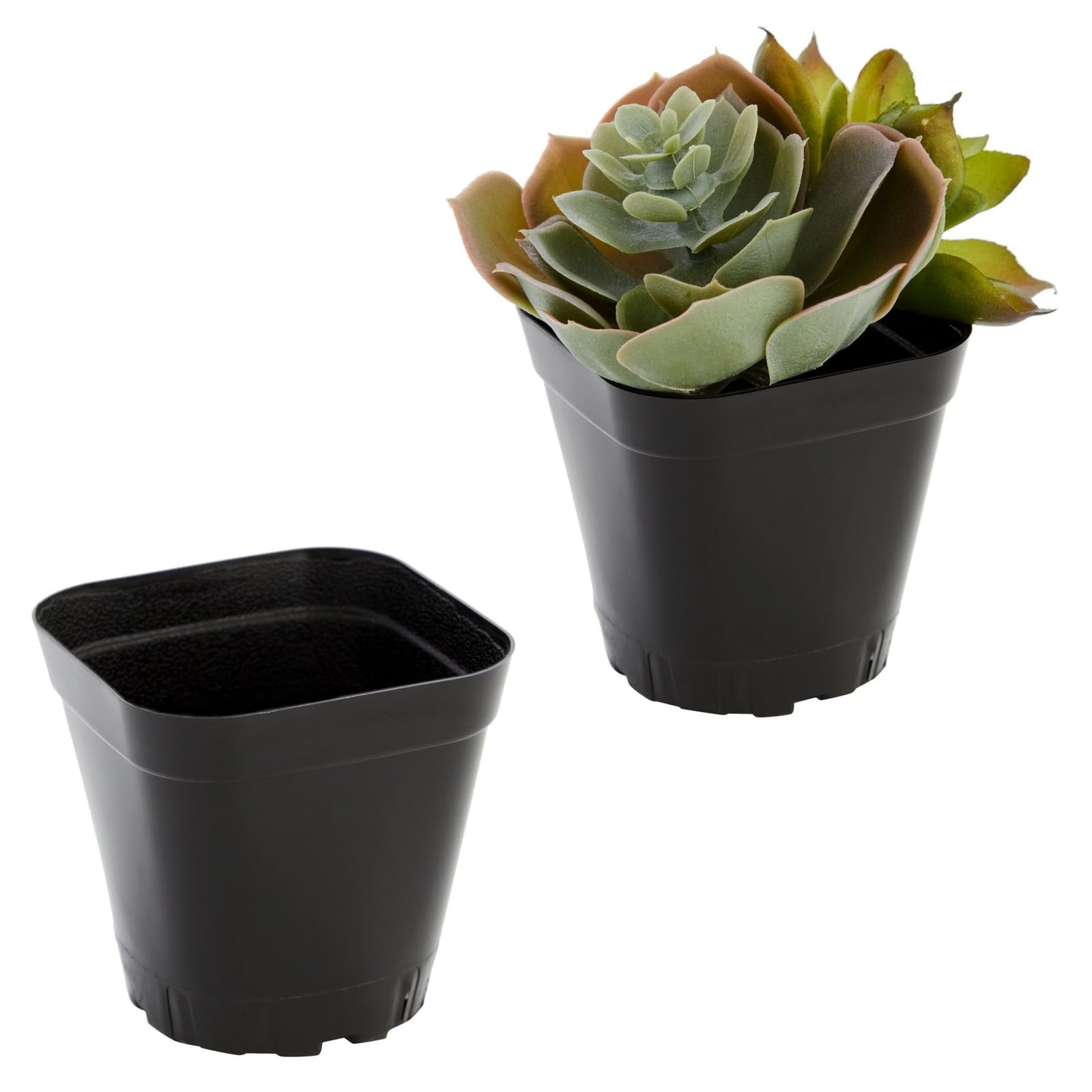 Juvale mini planter for succulents offers compact beauty in small spaces.