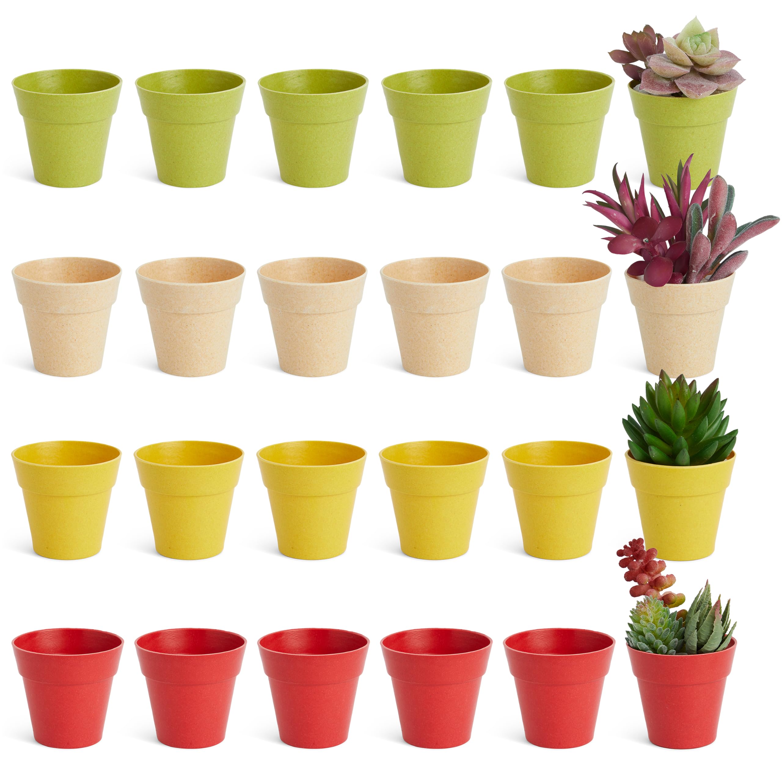 Juvale mini plastic pot with drainage holes for healthy root growth