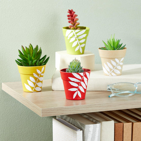 Juvale multicolor pots brighten small spaces for herbs and succulents