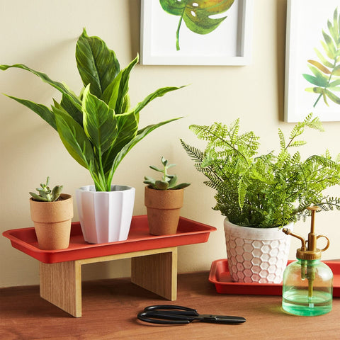 Juvale rectangular plant tray under a small pot demonstrates surface spill protection.