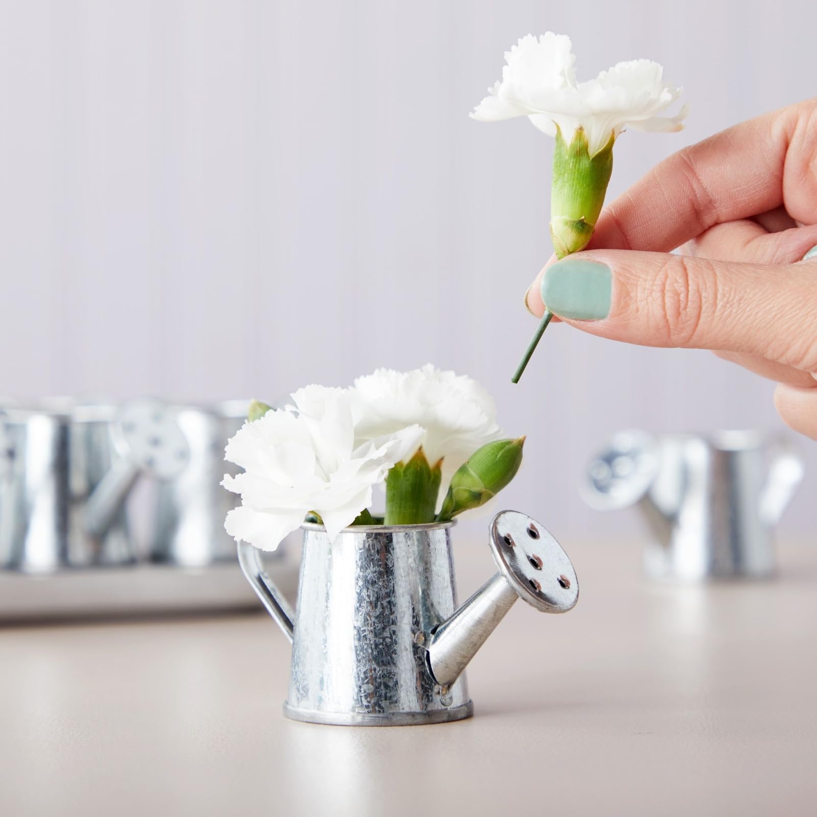 Juvale silver mini watering cans arranged as vintage decor accents for shelves