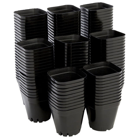 Juvale square nursery pot with drainage holes for healthy seed starting.
