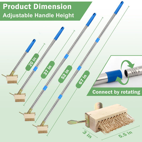 Juxifyron roof and yard moss removal use case showing effective cleaning options.