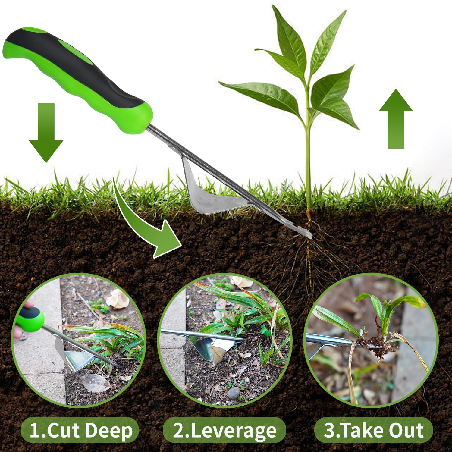 Juxifyron stainless steel weeder resists rust for long lasting use