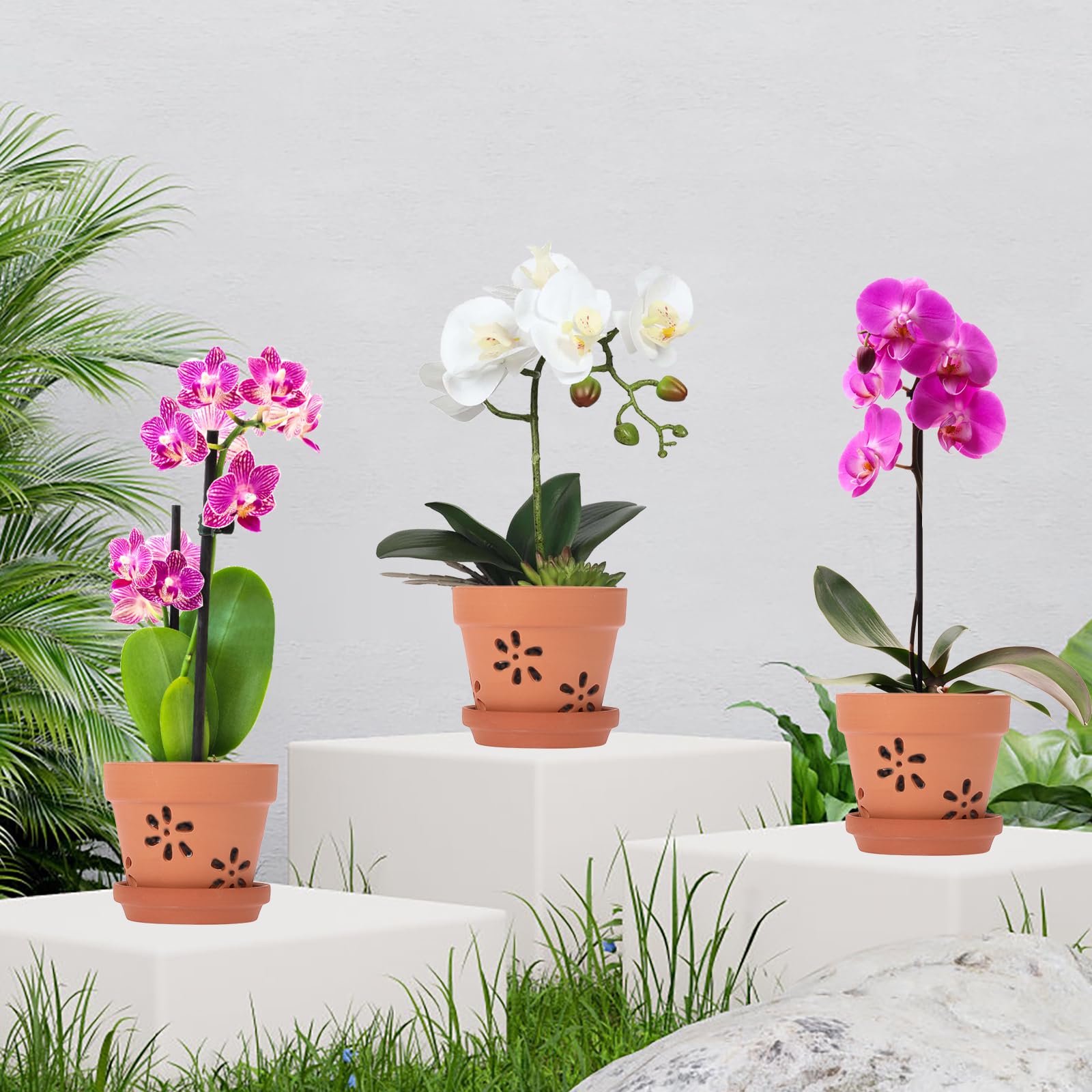 JUXYES aeration-focused design promotes air flow around orchid roots.