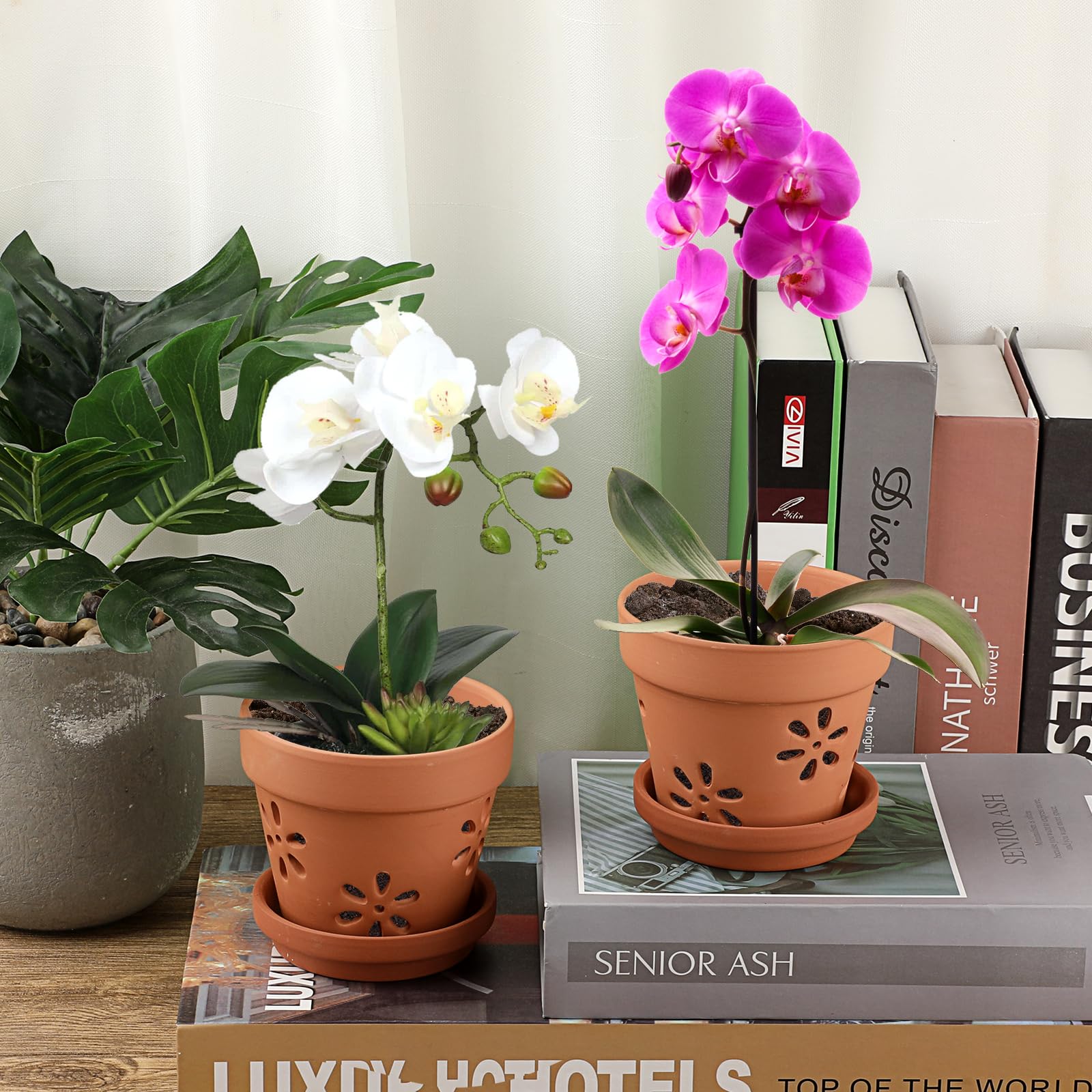 JUXYES compact 4-inch pot suitable for indoor and outdoor orchid setups.