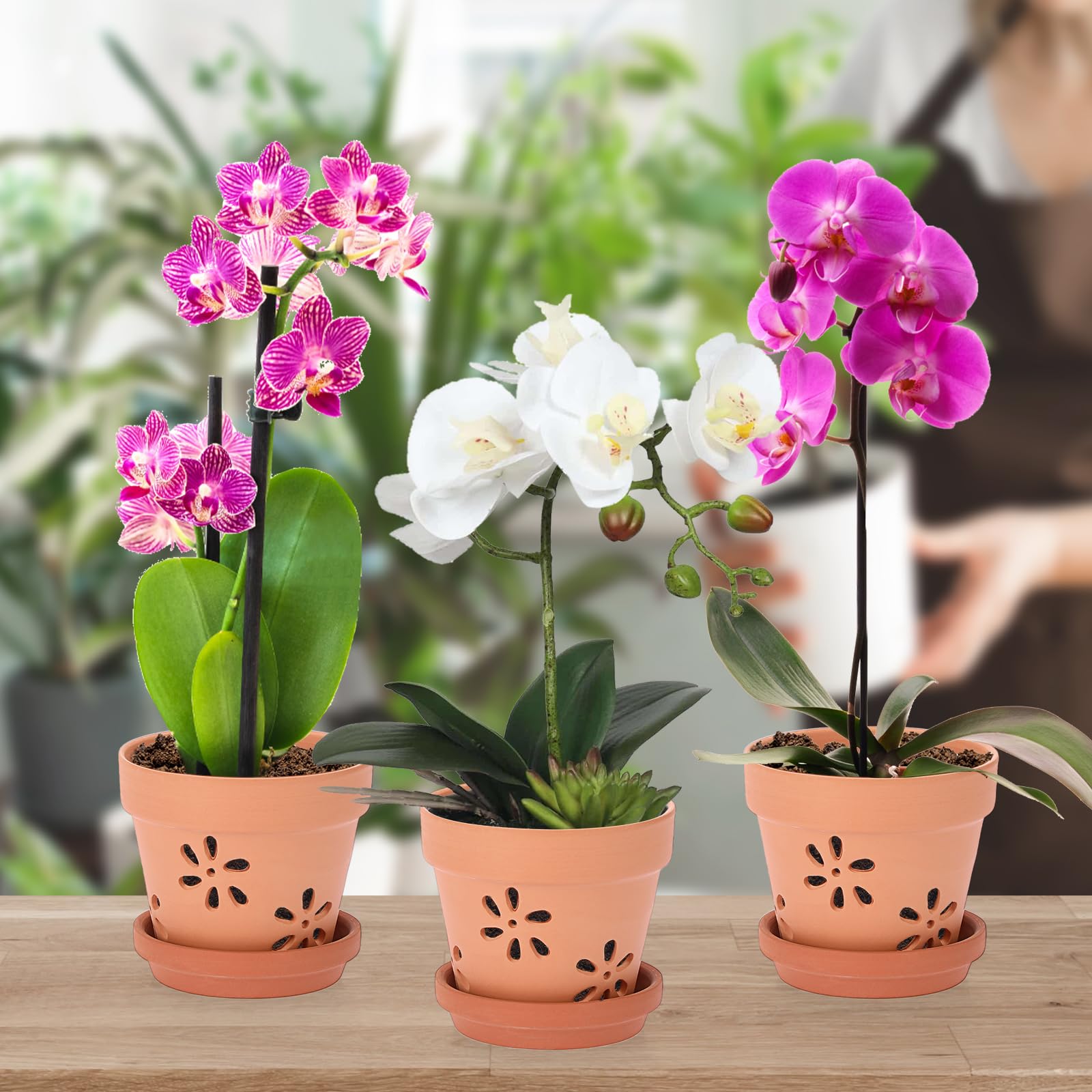 JUXYES decorative terracotta planter enhances home display while supporting plant health.