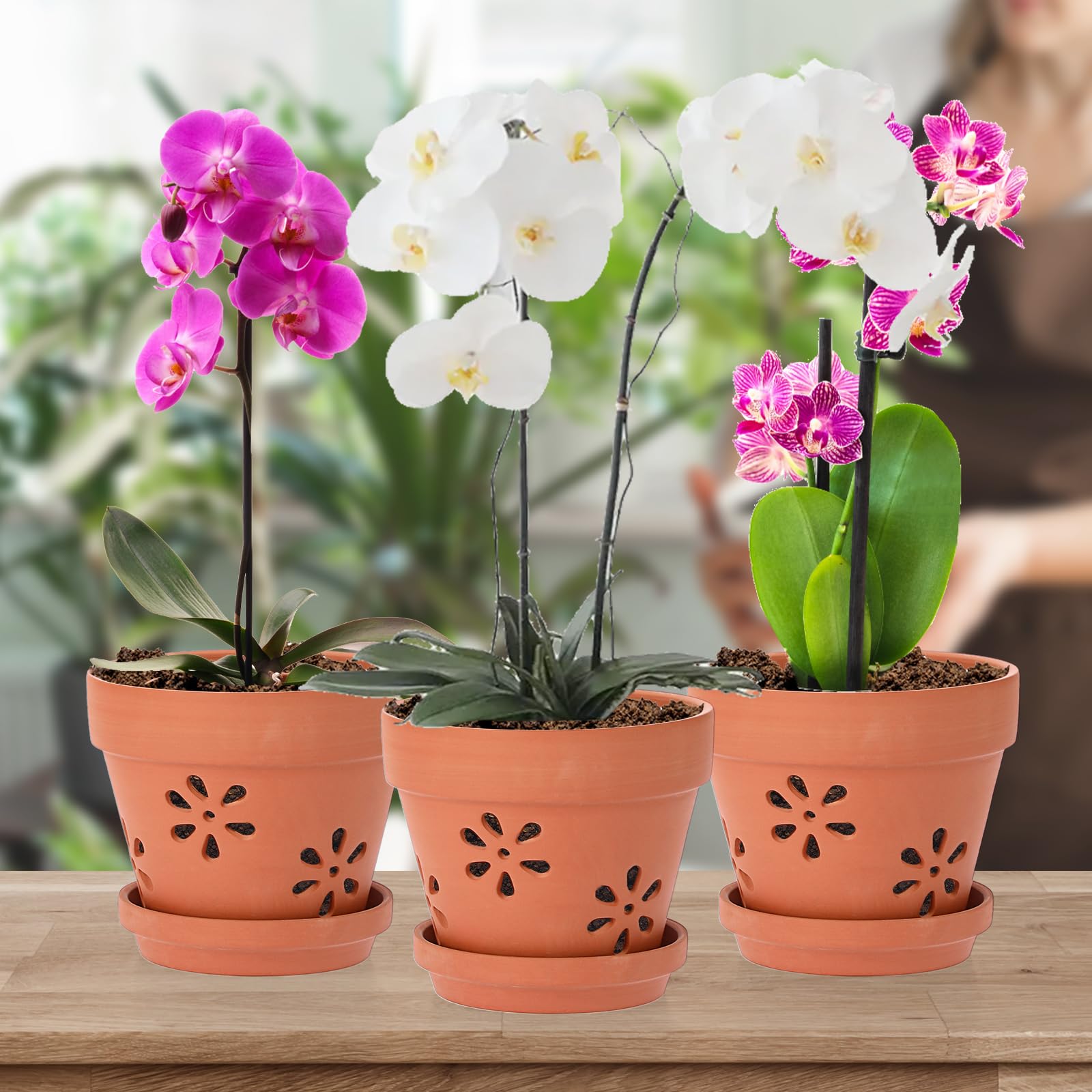 JUXYES 6-inch orchid pot provides stable support for top-heavy plants.