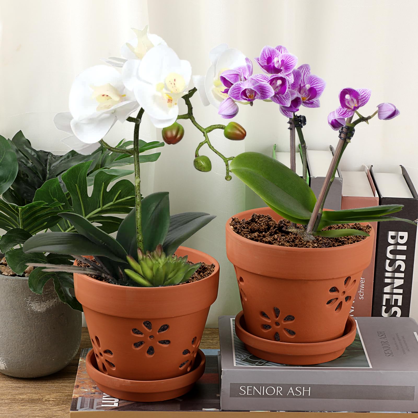 JUXYES indoor-outdoor orchid pot complements home decor.