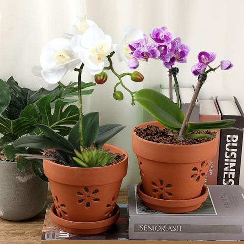 JUXYES indoor-outdoor orchid pot complements home decor.
