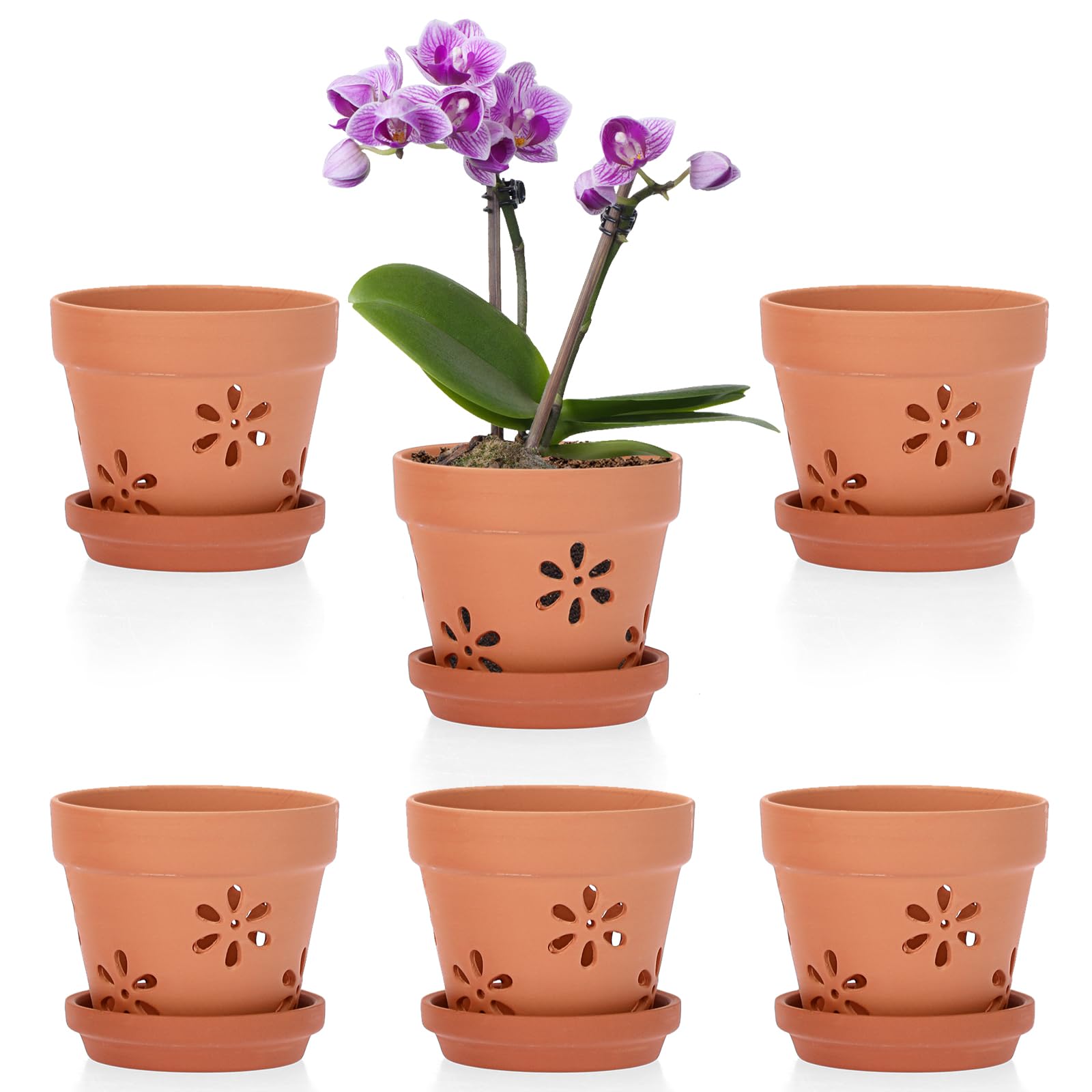 JUXYES pack of six terracotta orchid pots with holes and saucers for stable orchid display.
