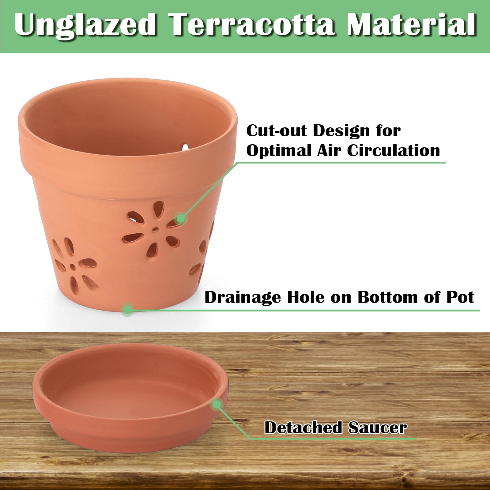 JUXYES terracotta pot with drainage holes promotes airflow around roots.