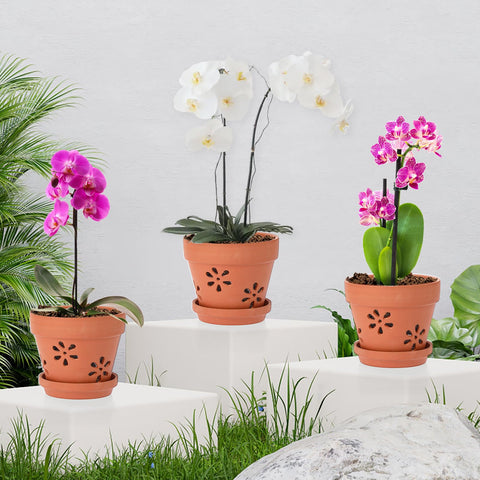 JUXYES 3-pack terracotta pots ready for easy repotting and display.