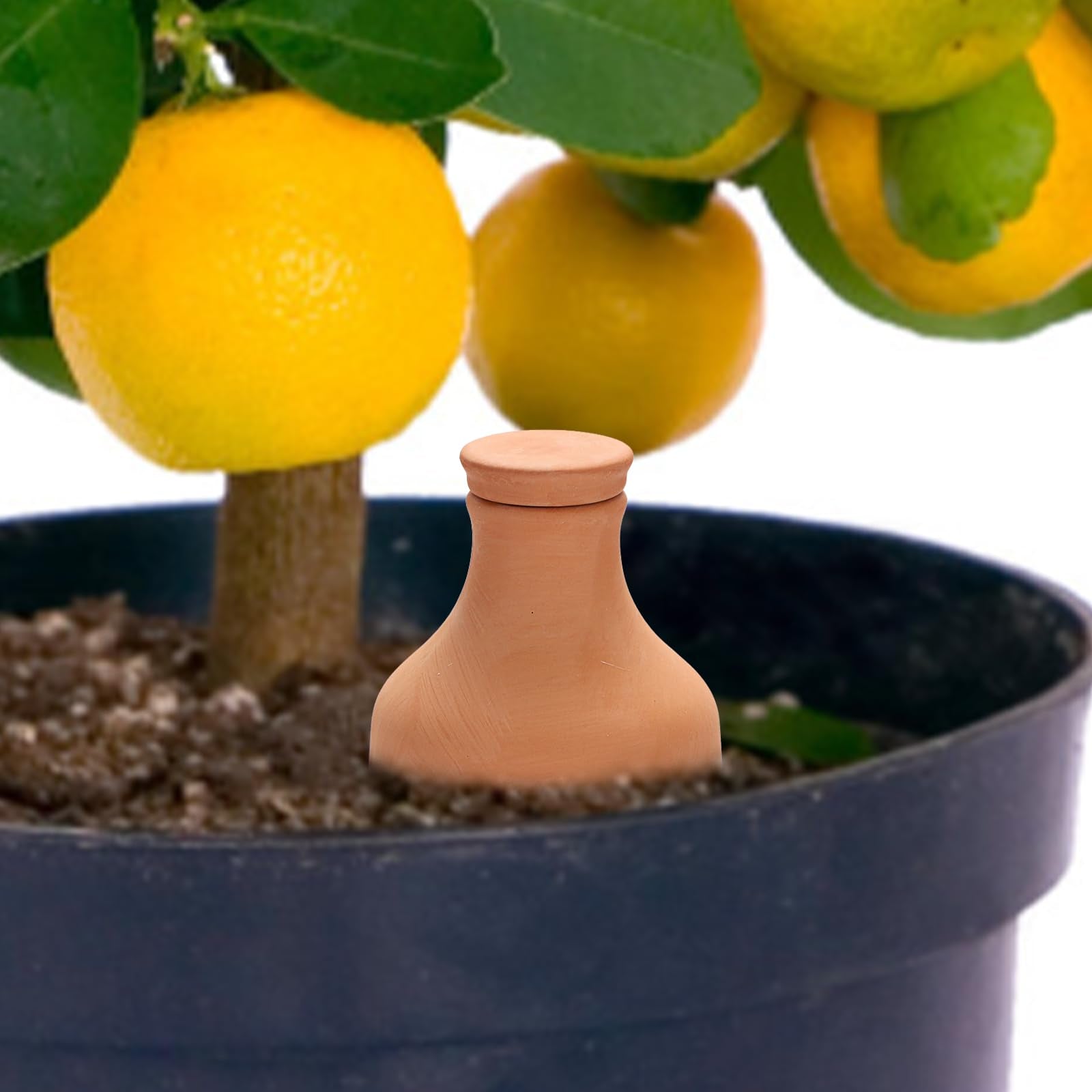 JUXYES self-watering pot buried in soil demonstrates steady moisture delivery.