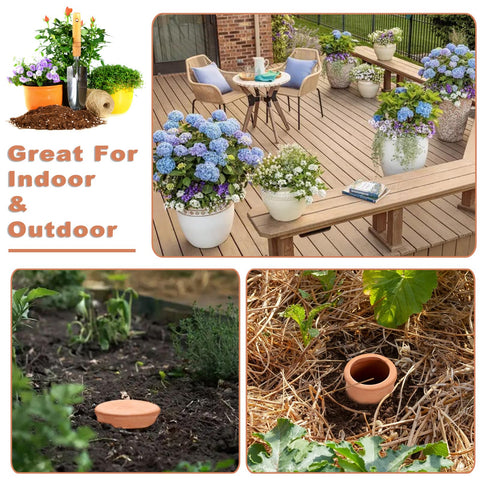 JUXYES vacation-friendly watering aid supports plants during trips.