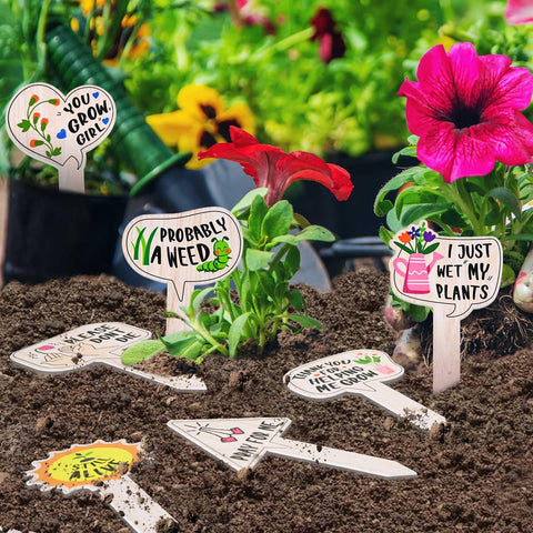 JUYRLE indoor-outdoor stakes brighten planters and garden borders.